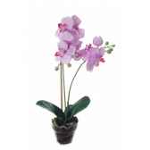 tina orchidee 52cm en pot louis maes 80117628