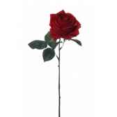 rose 48cm louis maes 06176525