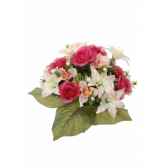 piquet lys rose hellebore louis maes 22044450