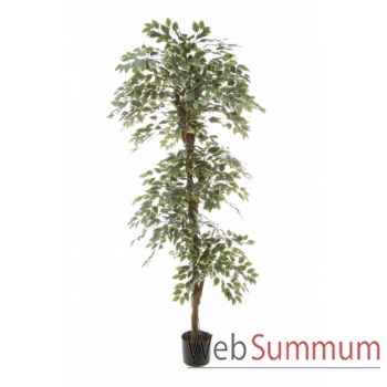 Ficus topiary bi-color Louis Maes -40105.150