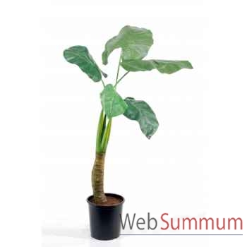 Caladium géant x 5 feuilles 135cm Louis Maes -03730.000