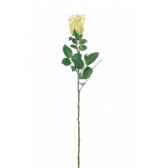 bouton de rose grand louis maes 05068472