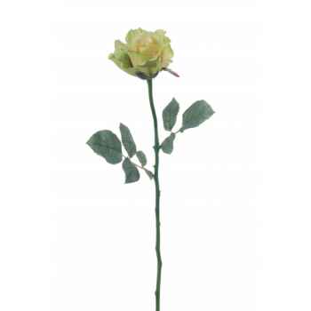Rose ouverte alice Louis Maes -05580.583