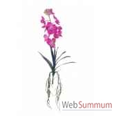 vanda orchidee x9 blad 57cm louis maes 06008630