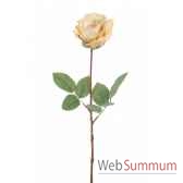 rose 70cm louis maes 06021475