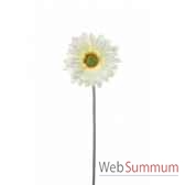 gerbera louis maes 06167406