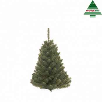 Arbre d.noel norway spruce h90d71vert tips 120 -88802