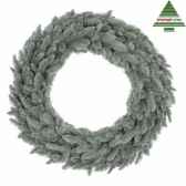 couronne abies nordmann d60 bleutips 208 386313