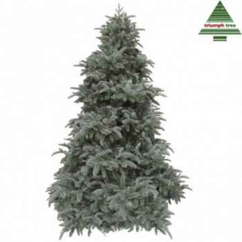 Sapin de noel delux abies nordmannh155d122 forest blue tips 1473 -NF -389605