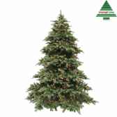 sapin de noeled delux abies nordmann h305d196 vert 1144tips 7585 nf 389700