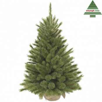 Sapin d.noel a. toile de juteforest fr.pine h60d46 vert tips 64 -NF -390252