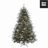 sapin de noeled frstelton firh170d117 vert 312tips 1113 ww nf 393654