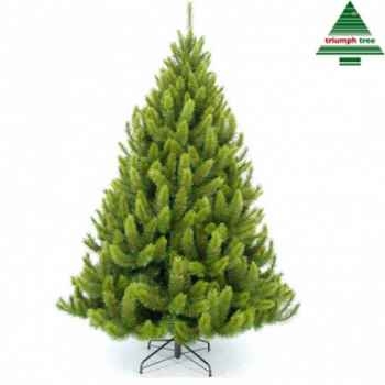 Arbre d.noel richmond pine h185d117vert tips 545 -790626