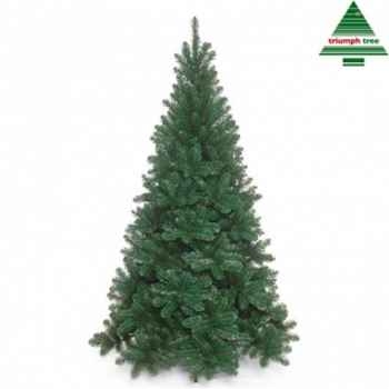 Arbre d.noel tuscan spruce h215d135vert tips 812 -792004