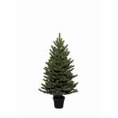 sapin elgin dans pot 120 cm everlands nf 688629