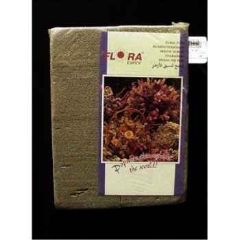 Mousse floral bloc dor 230x110x75mm seal Peha -FL-4001