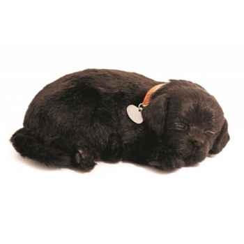 Labrador noir Perfect Petzzz -65410