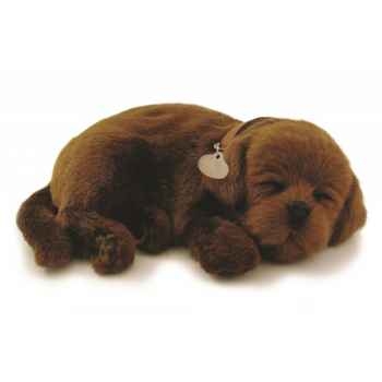 Labrador chocolat Perfect Petzzz -65411