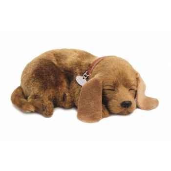 Chien croisé Perfect Petzzz -65413