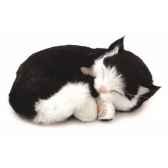 chat noir et blanc perfect petzzz 65432