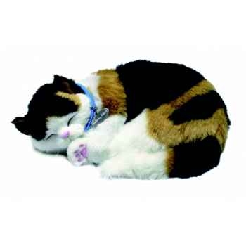 Chat calico Perfect Petzzz -65435