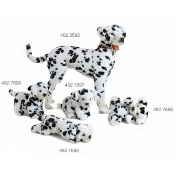 Dalmatien debout 71x90 cm Ramat -4623693