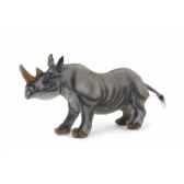 rhinoceros noir anima 5247