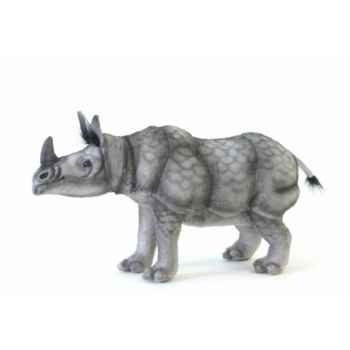 Rhinocéros indien Anima -5252