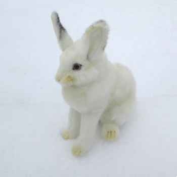 Lièvre blanc Anima -5842