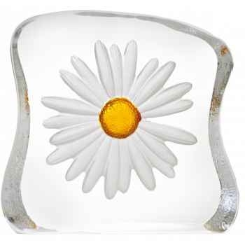Daisy , sablé / jaune design robert ljubez Mats Jonasson -33886