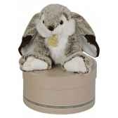 peluche les z animoos lapin marius histoire d ours 2061