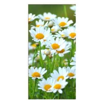 Serviettes, 3 plis "design edition" pliage 1/8 33 cm x 33 cm "white flowers" papstar -81554