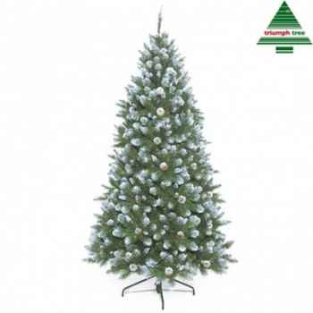 Arbre d.noel empress spruce w/coneh185d107 givre tips 709 -288025