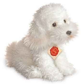 Caniche blanc assis Hermann -92785 3