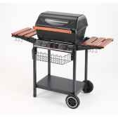 barbecue a gaz 64x48cm puiss 68kw mod cor palette de 12 unites alperk 9852 3663141