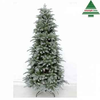 X-mas tree abies nordmann h185d102 green tips 1243 Edelman -388366