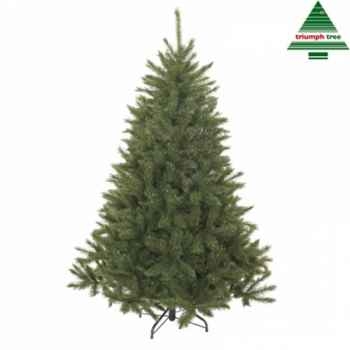 X-mas tree bristlecone fir h185d119 green tips 686 Edelman -388726