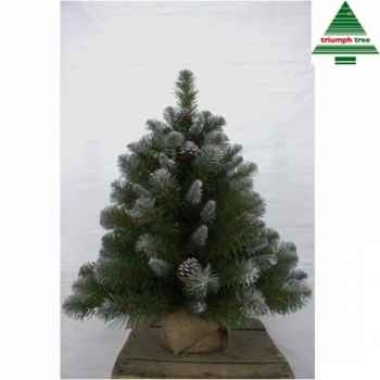 X-mas tree w/burlap empress spruce h60d46 green tips 86 Edelman -387065