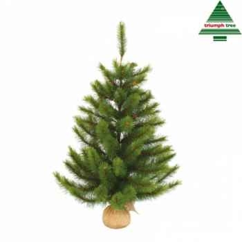 X-mas tree w/burlap richmond pine h90d69 green tips 106 Edelman -788623