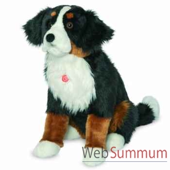 Bouvier bernois 60 cm Hermann -92794 5