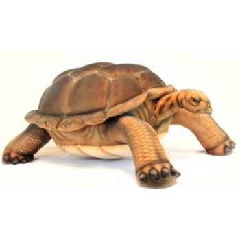 Tortue galapagos 70cmh/145cml Anima -6469