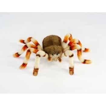 Araignée Anima -6556