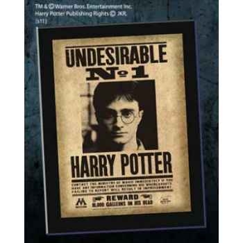 Plaque \"undesirable n1\" harry potter Noble Collection -NNXT0023