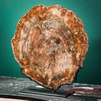 Tranche de bois fossile rouge Objet de Curiosité -PUFO303-1