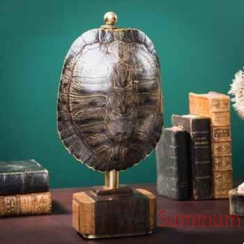 Carapace de tortue trachemys scripta Objet de Curiosité -PU629-1