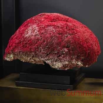 Corail rouge tgm tubipora musica Objet de Curiosité -CO386-3