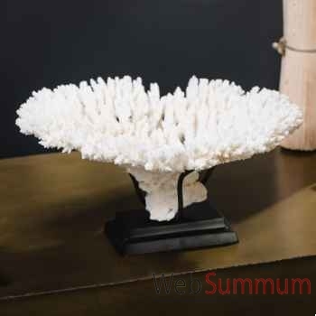 Petite couronne corail blanc acropora hyacinthus Objet de Curiosité -CO396-1