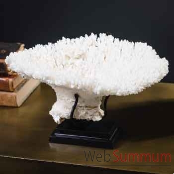 Petite couronne corail blanc acropora hyacinthus Objet de Curiosité -CO396-3