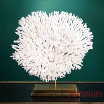 Petite couronne corail blanc acropora hyacinthus Objet de Curiosité -CO422-1