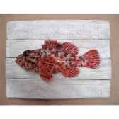 cadre poisson de mer cap vert chapon cadr01